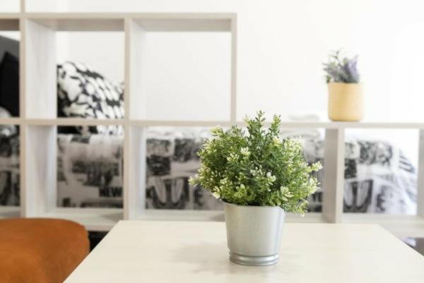 Apartamentos Turisticos Plaza San Juan 2 Tudela Zewnętrze zdjęcie